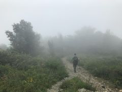 -北京鹫峰国家森林公园