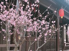 -回龙窝历史文化街区