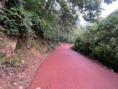 -敬亭山风景名胜区