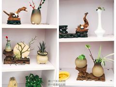 -龙大花卉苗木市场