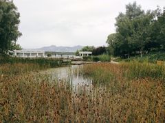 -青龙湖公园