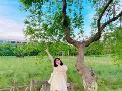 -艾溪湖湿地公园