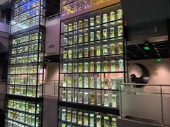 -广东中医药博物馆