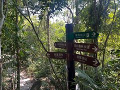 -海南热带雨林国家公园吊罗山景区