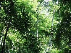 -燕晗山郊野公园