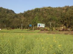 -绩溪龙川景区