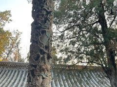 -建水文庙