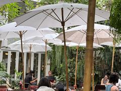 -Fern Forest Cafe