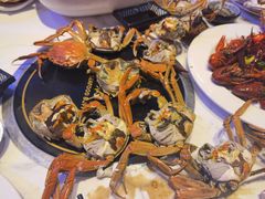 -半岛听涛蒸汽海鲜自助(K11店)