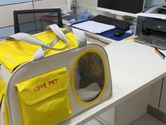 -中农国际动物医院24小时·猫科·骨科·急重症中心