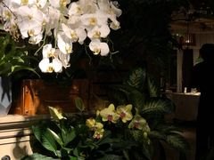 -春暖花开(西溪店)