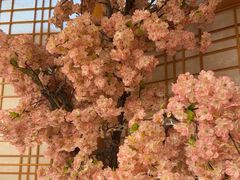 -汤泉良子.足疗按摩.SPA(中关村店)