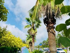 -北海金海湾红树林生态旅游区