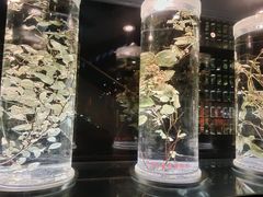 -广东中医药博物馆