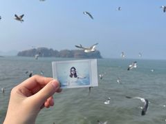 -海驴岛(荣成市)