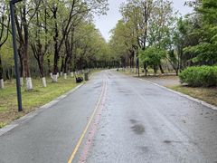 -江苏三台山国家森林公园