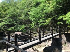 -湖州龙王山景区