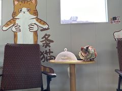 -豆逗聊愈猫阁Easy Life