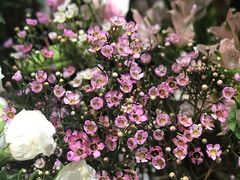 -谷莠子花艺气球派对·绿植造景·花艺沙龙(东海缤纷天地店)