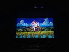 -中影佰纳国际影城DMAX(花都广百广场店)