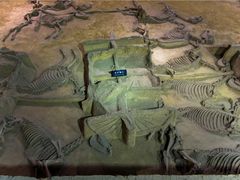 -洛阳周王城天子驾六博物馆