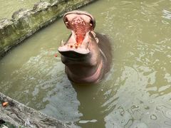 -宁波野生动物园