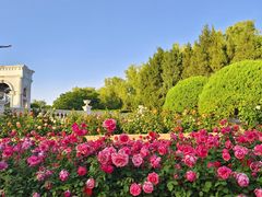 -朝阳公园