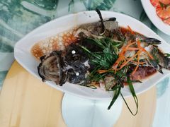 -四姑娘川味海鲜(八爪鱼店)