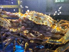 -蟹之国·精品蟹料理(极地店)