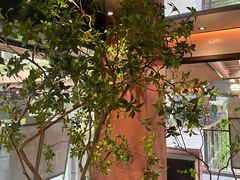 -大神太神·铁板烧(瑞虹天地月亮湾店)