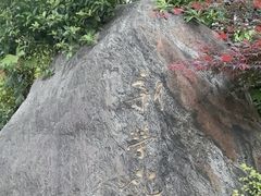 -新荣记(西溪湿地店)