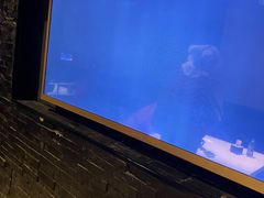 -V-SHOW KTV(济南概念店)