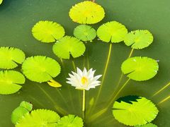 -国家植物园南园