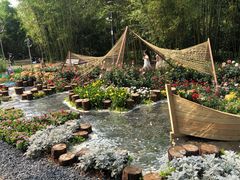 -深圳仙湖植物园