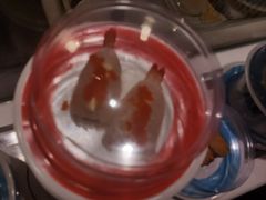 -莲寿司(国兴店)