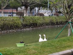 -广州市第二中学高中部(科学城校区)