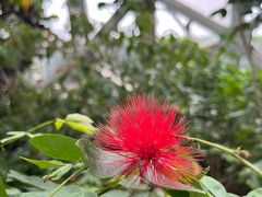 -上海辰山植物园