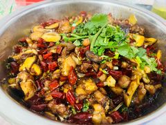 -食神又名厕所兔