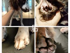 -听TA说宠咖·宠物生活馆(天韵水岸店)