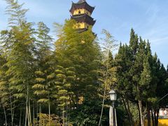 -阿育王寺