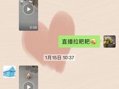 -宠物之家Pets Home 宠物寄养酒店