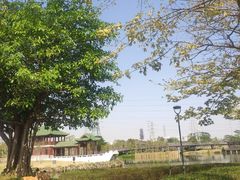 -王借岗森林公园