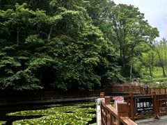 -洛阳白云山景区