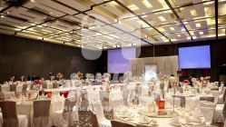 -M'S BANQUET AND SPACE ART