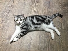 -小时光咖啡馆(开森度假森林店)