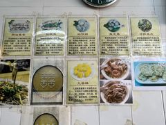 -针姨