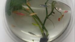 -朵琳·美甲美睫纹绣