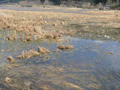 -泸沽湖国家级风景名胜区走婚桥