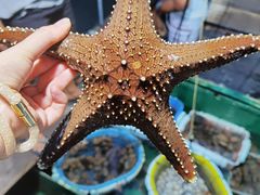 -三亚西岛海洋文化旅游区