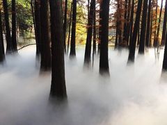 -东湖落雁景区